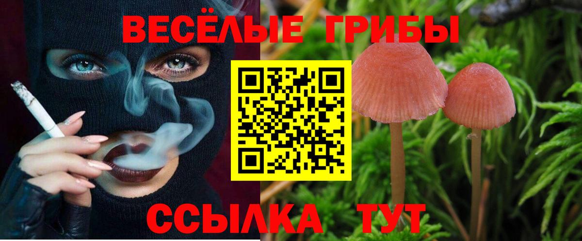 Галлюциногенные грибы мицелий  Вход с VPN  Лесозаводск 