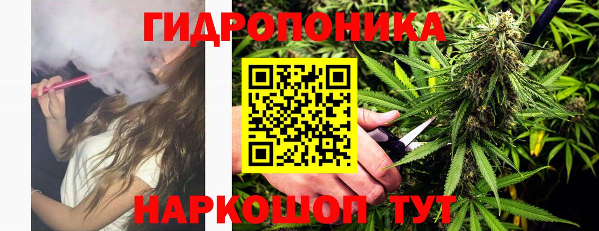 Бошки марихуана семена  Марихуана конопля  Лесозаводск  Шишки марихуана VHQ  Вход с VPN 